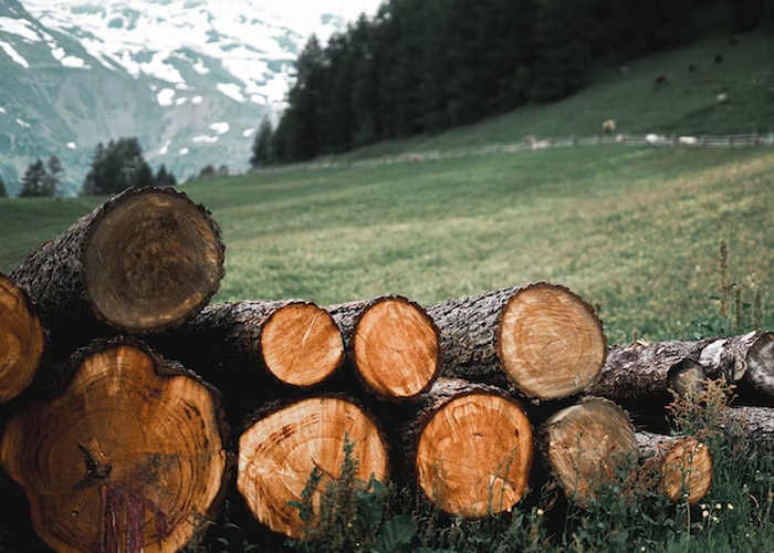 Ventaja suelo de madera ecológico y 100% renovable